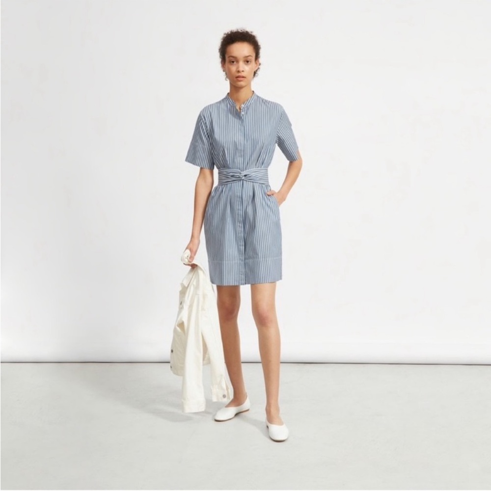 Everlane Blue Pinstripe Short Sleeve Shirt Dress